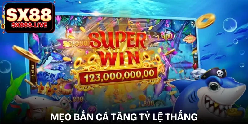ban-ca-2d-bi-quyet