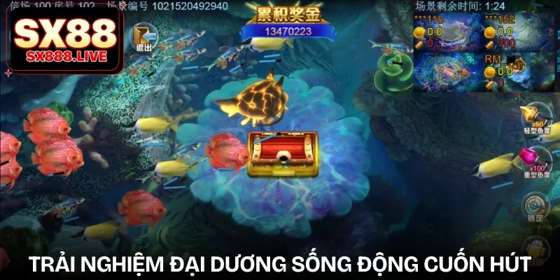 ban-ca-2d-tong-quan