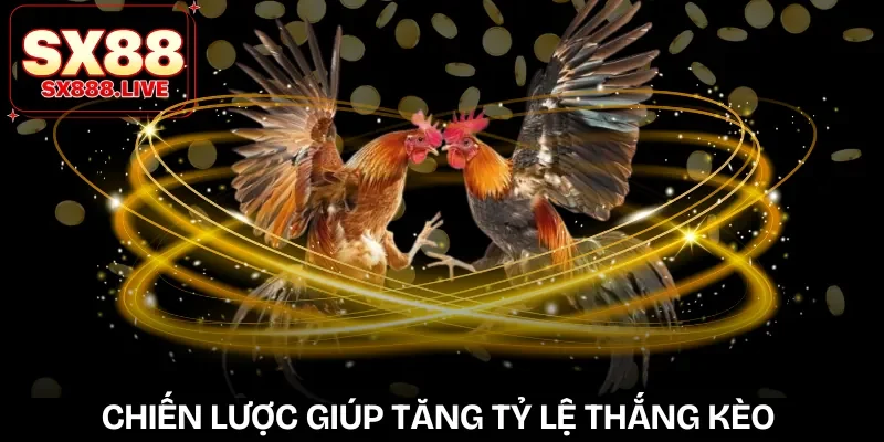 da-ga-988-luu-y