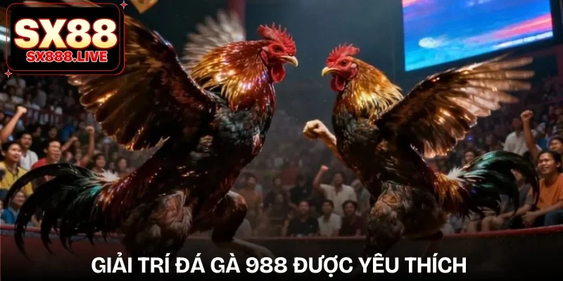 da-ga-988-uu-diem