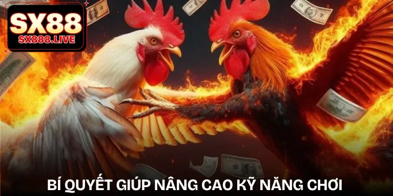 da-ga-sx88-kinh-nghiem