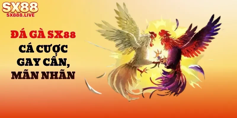 da-ga-sx88
