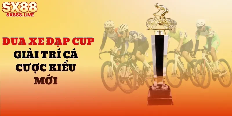 dua-xe-dap-cup