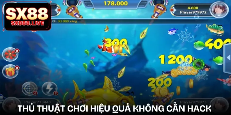 hack-game-ban-ca-an-xu-meo-choi