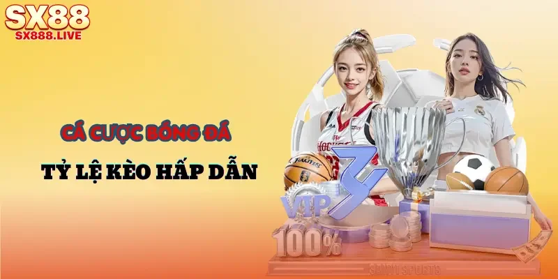 nha-cai-sx88-bong-da